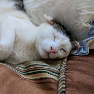 Meet your Posher, Debbie